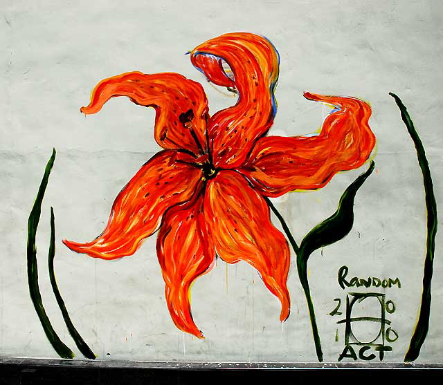 Random Act painting of daylily - Highland Avenue in Hollywood