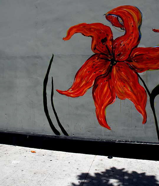 Random Act painting of daylily - Highland Avenue in Hollywood