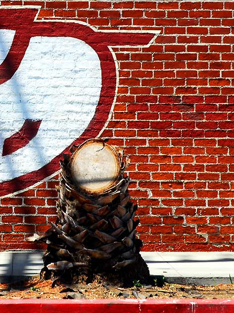 Anawalt Lumber logo and palm stump - North Highland and Romaine in Hollywood
