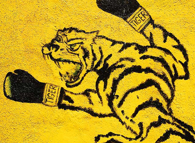 Tiger Boxing Gym, Melrose Avenue, Hollywood