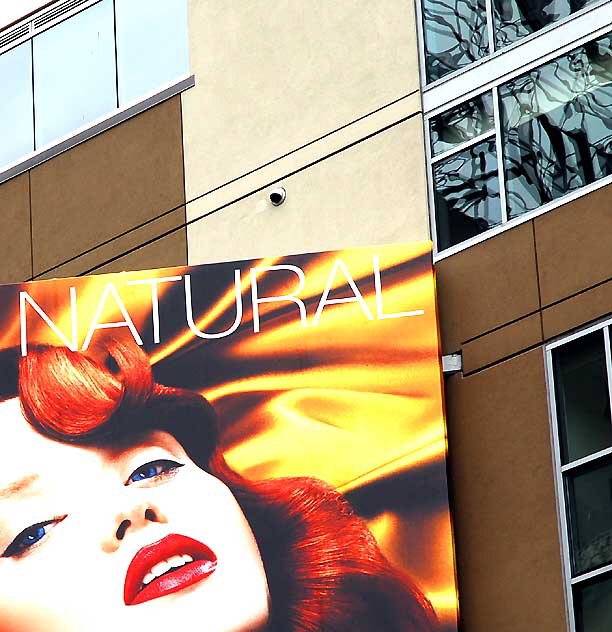 Go Natural - vodka billboard on Vine Street, Hollywood
