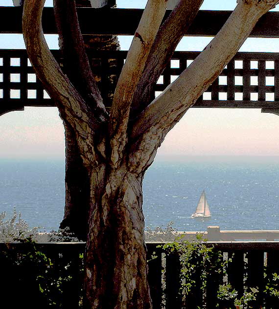 View from Pacific Palisades Park - Ocean Avenue, Santa Monica