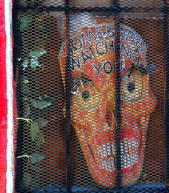 "Somebody's Watching You" - rear window of the "Never Open Store" - Melrose Avenue, Hollywood