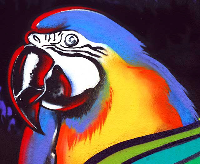 Mural in alley behind Melrose Avenue: Killer Parrot 