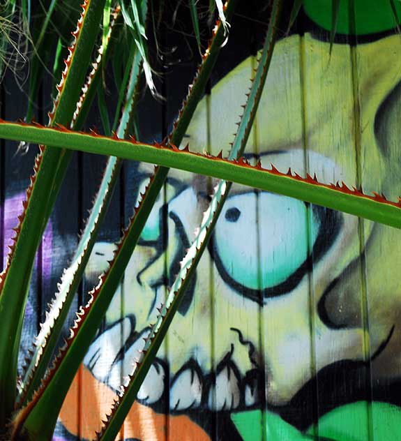 Mural in alley behind Melrose Avenue: Skull