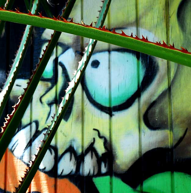 Mural in alley behind Melrose Avenue: Skull