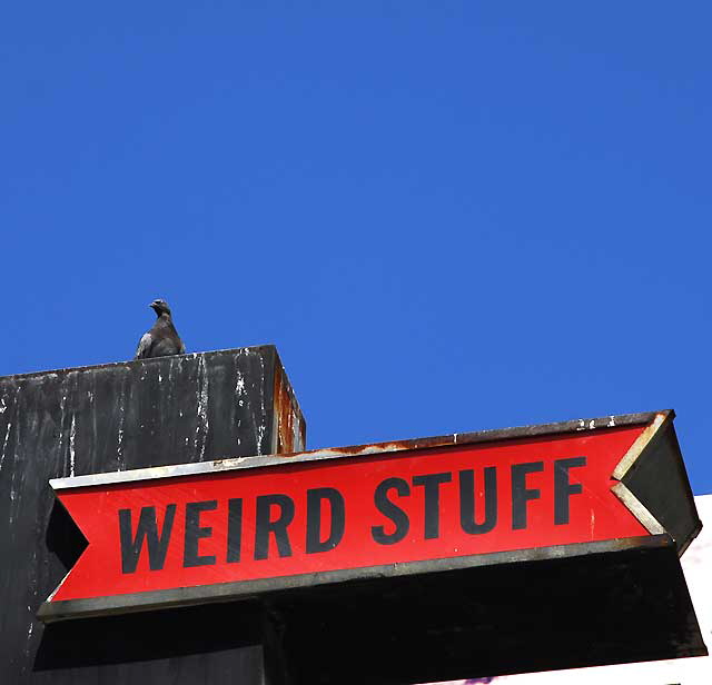 Weird Stuff, Melrose Avenue, Hollywood