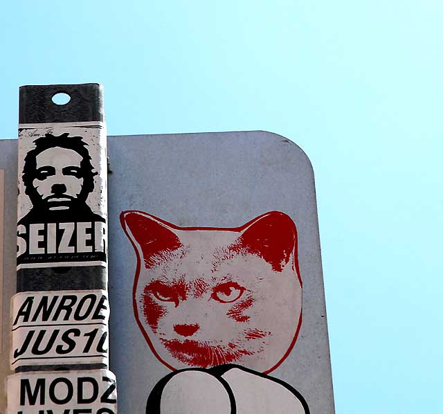 Cat Sticker, Hollywood Boulevard