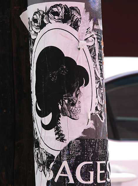 Skull-Ages - sticker, La Cienega at Oakwood, West Hollywood 