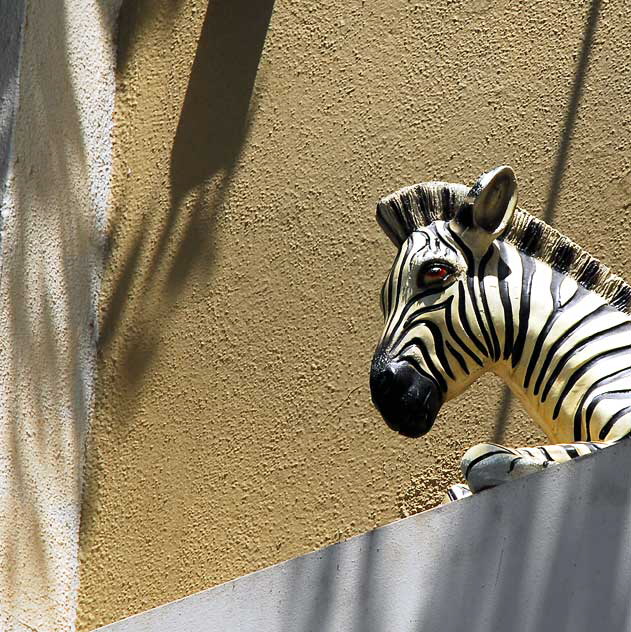 Zebra above shop on La Cienega Boulevard in West Hollywood