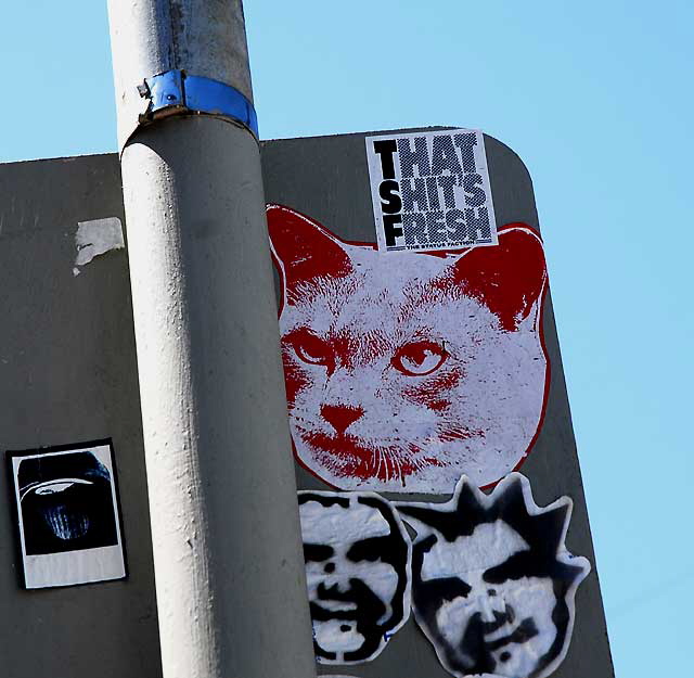Cat sticker, Hollywood Boulevard at Sunset Boulevard, Los Feliz