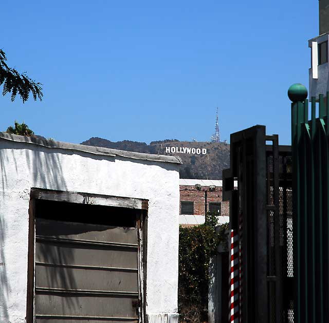 The Hollywood Sign as seen From Selma Avenue