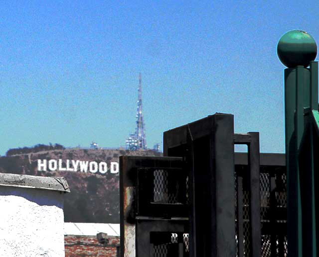 The Hollywood Sign as seen From Selma Avenue
