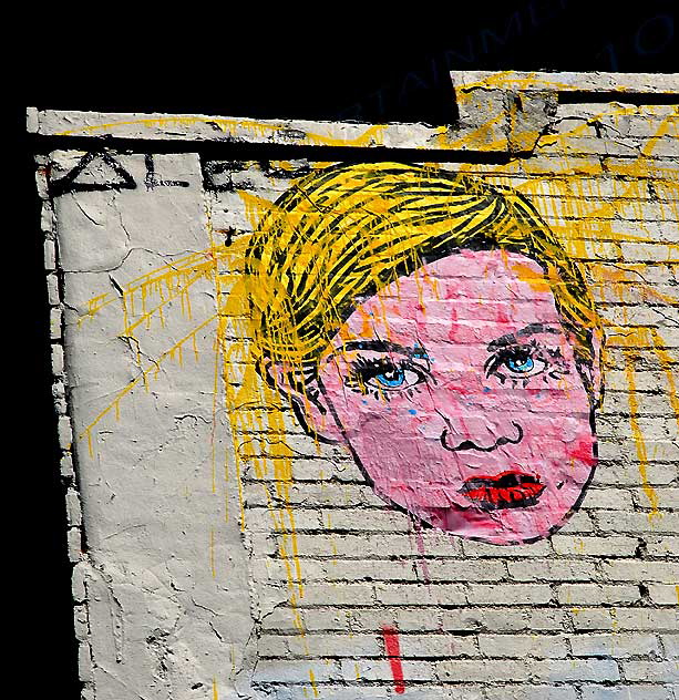 Wall Face by "Alec" - Melrose Avenue