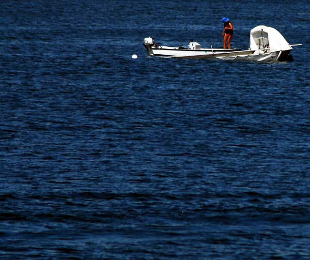 Activity in the mole at Marina Del Rey, Wednesday, August 18, 2010