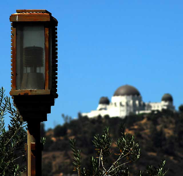 View from Hollyhock House, Hollywood 