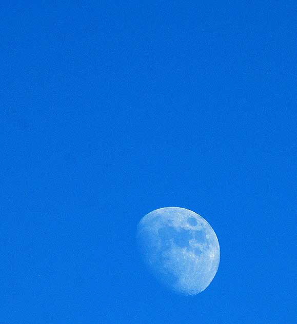 Moon over Hollywood