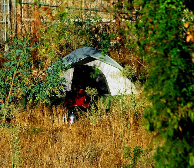 Tent in empty lot on Hollywood Boulevard