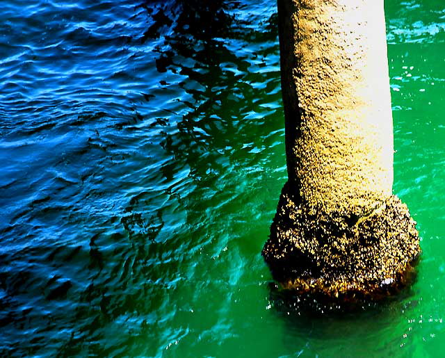 Manhattan Beach Pier, Tuesday, August 24, 2010