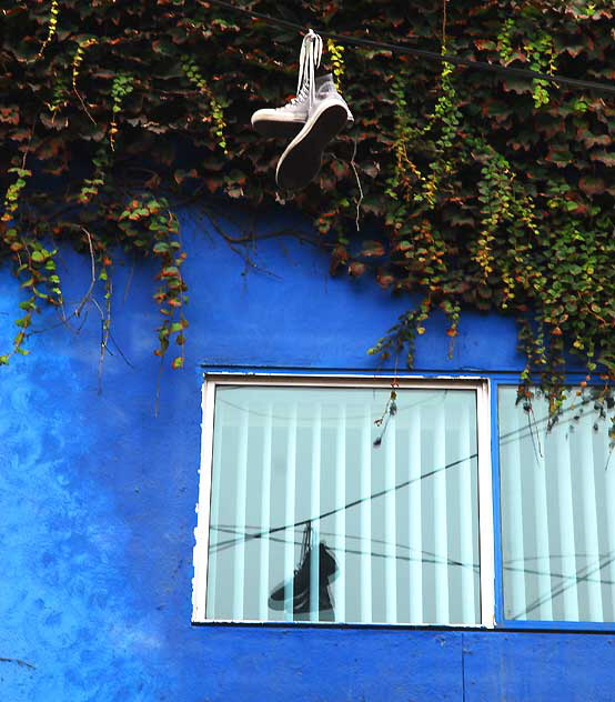 Sneakers on wires, Washington at Speedway, Venice Beach