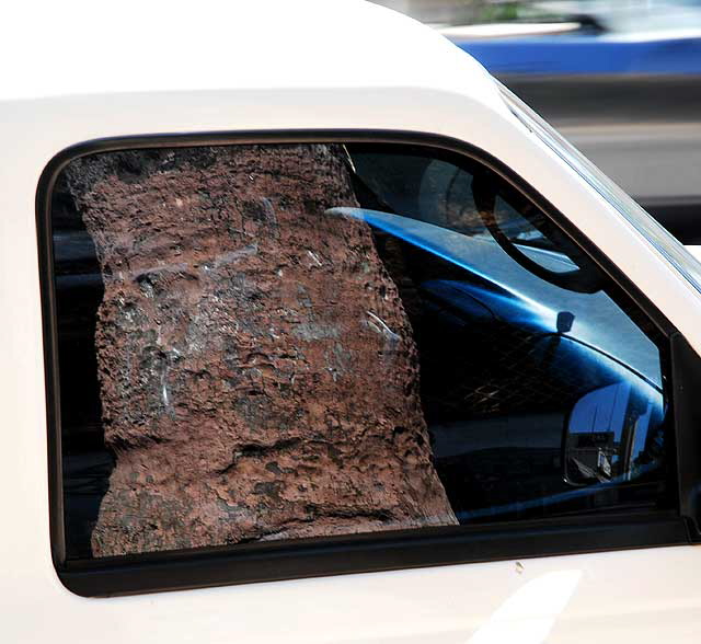 Palm trunk reflected in truck window, Sunset Boulevard