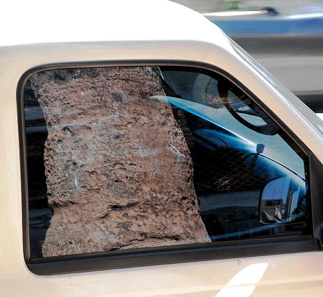 Palm trunk reflected in truck window, Sunset Boulevard