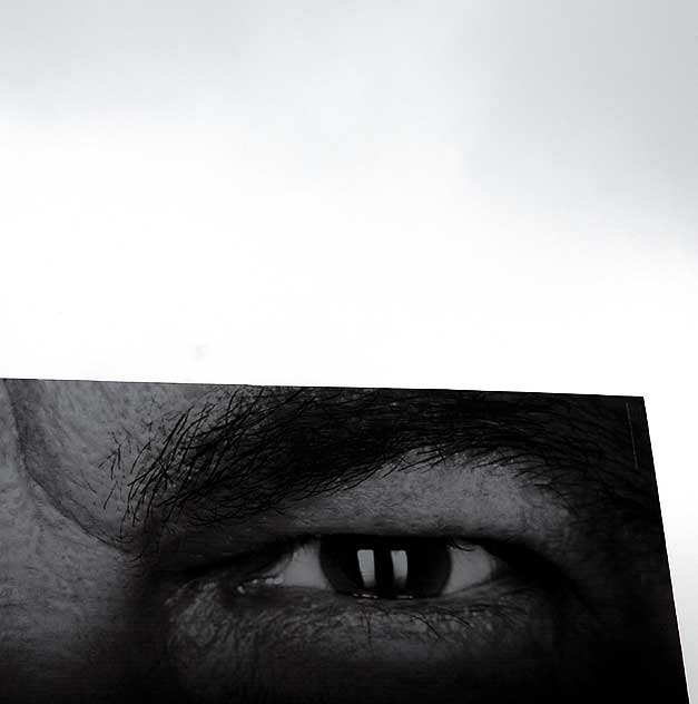 Billboard above the Sunset Strip, Steven Segal's Eye