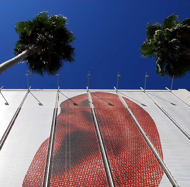 Scrim at the Los Angeles County Museum of Art, 5905 Wilshire Boulevard