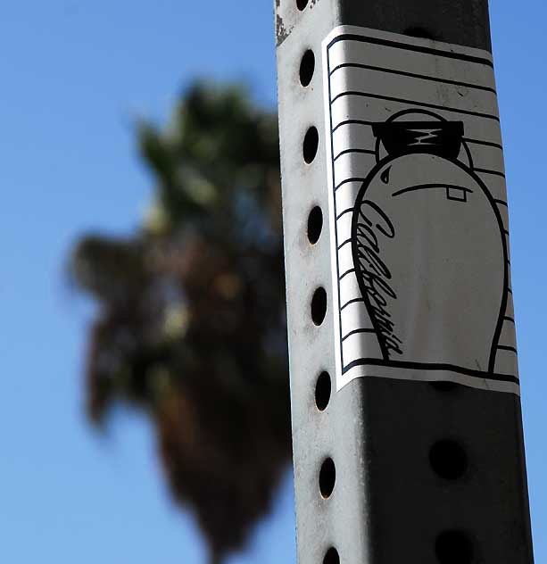 "California" sad tuna sticker