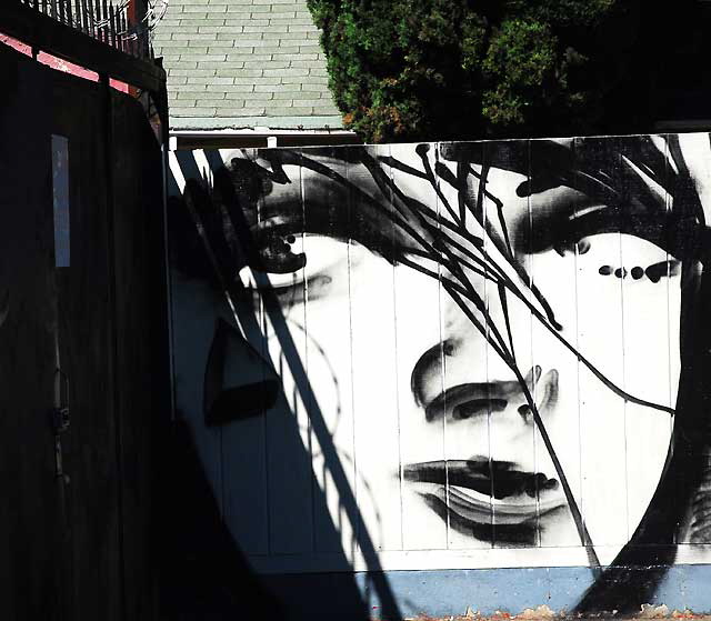 Woman's Face on Wooden Wall - Silverlake parking lot 