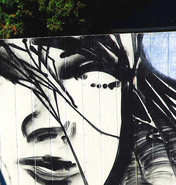 Woman's Face on Wooden Wall - Silverlake parking lot 