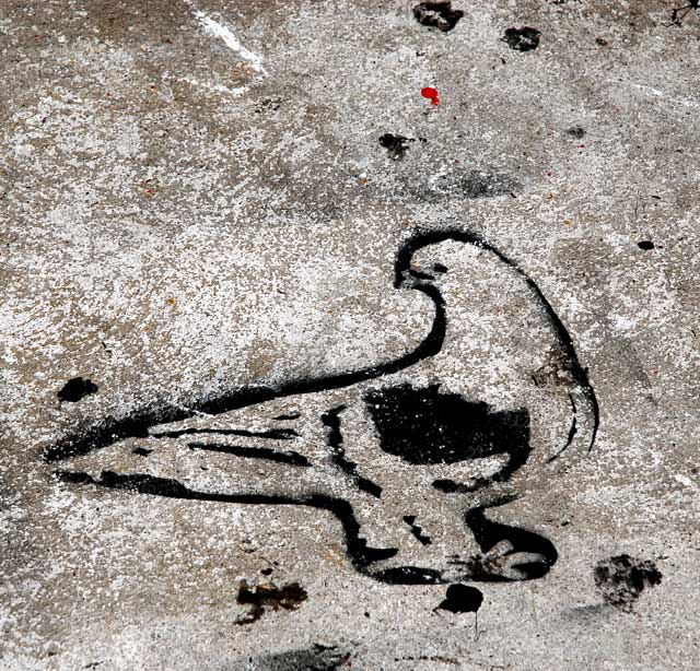 Sidewalk Pigeon, Hollywood Boulevard