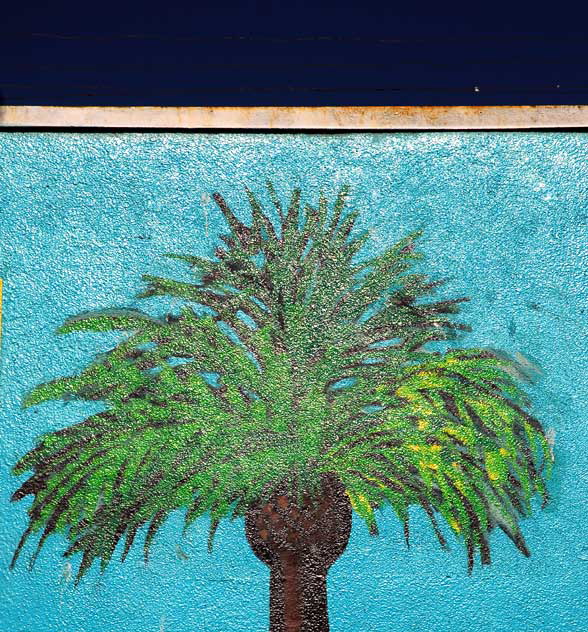 Wall Palm