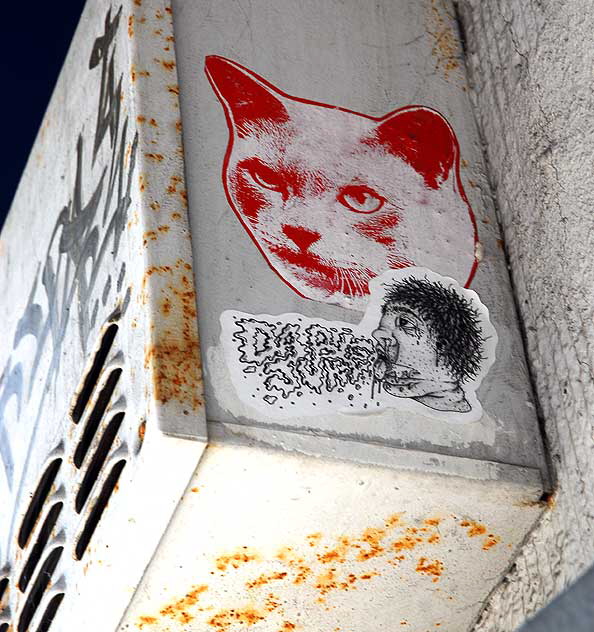 Red Cat