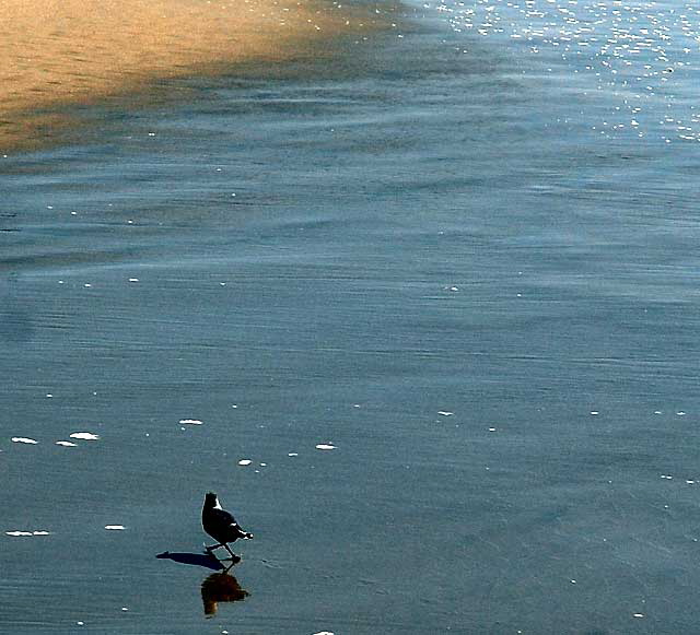 Venice Beach, Friday, October 1, 2010