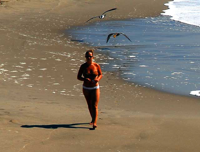 Venice Beach, Friday, October 1, 2010