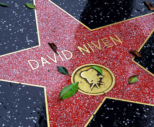 Star on the Hollywood Walk of Fame, David Niven