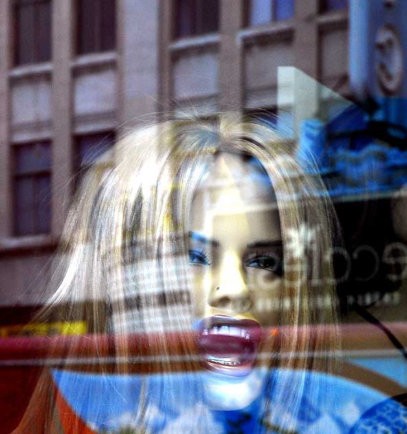 Shop Window, Hollywood Boulevard