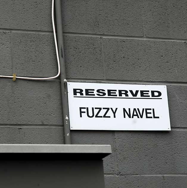 Alley at Melrose and Detroit in Hollywood - Reserved Parking - Fuzzy Navel 