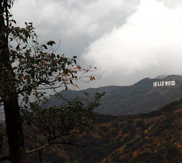 Hollywood Sign as seen from the Griffith Park Observatory, Wednesday, October 6, 2010 (intermittent heavy rain)