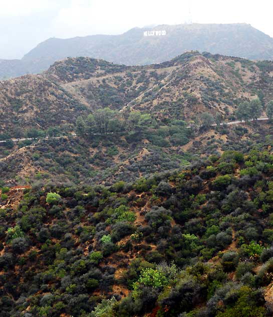 Hollywood Sign as seen from the Griffith Park Observatory, Wednesday, October 6, 2010 (intermittent heavy rain)