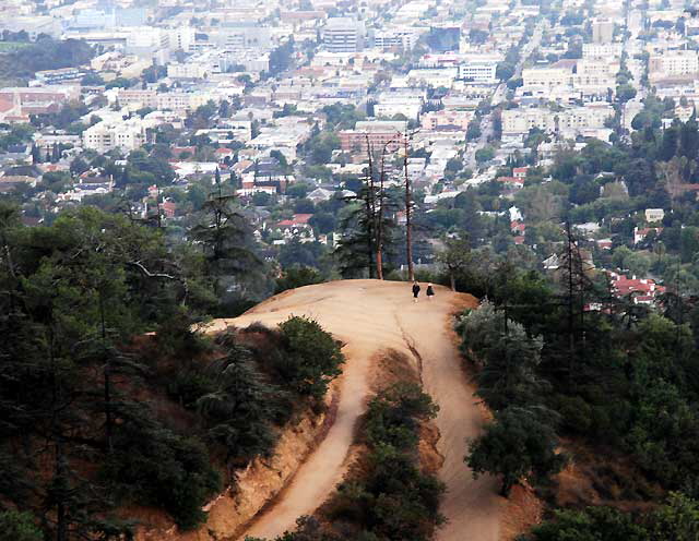 View from the Griffith Park Observatory