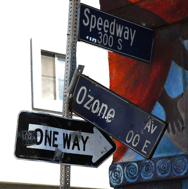 Detail of the mural is "Chagall Returns to Venice Beach" - 201 Ocean Front Walk (between Ozone and Rose Avenue) - by Christina Schlesinger