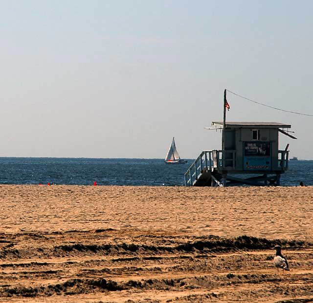 Venice Beach, Thursday, October 7, 2010