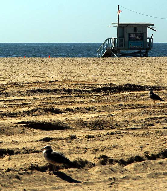 Venice Beach, Thursday, October 7, 2010