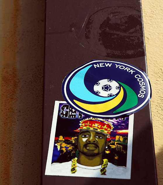 New York Cosmos, Ron Artest