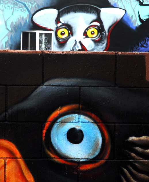Eyes, murals in alley, Melrose at Fuller 