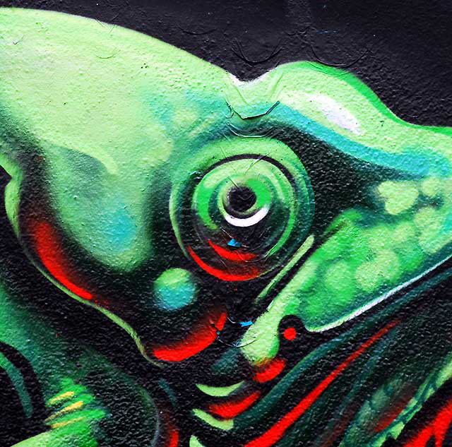 Lizard Eye, mural in alley, Melrose at Fuller