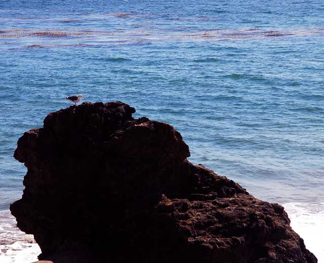 Pacific Coast Highway in Malibu, just south of Topanga Canyon, photographed Friday, October 22, 2010