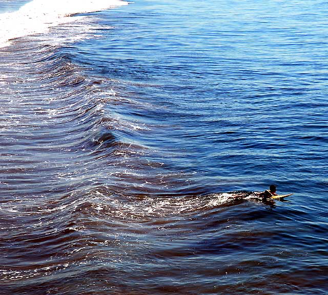 Surfing, Venice Beach, Tuesday, November 2, 2010